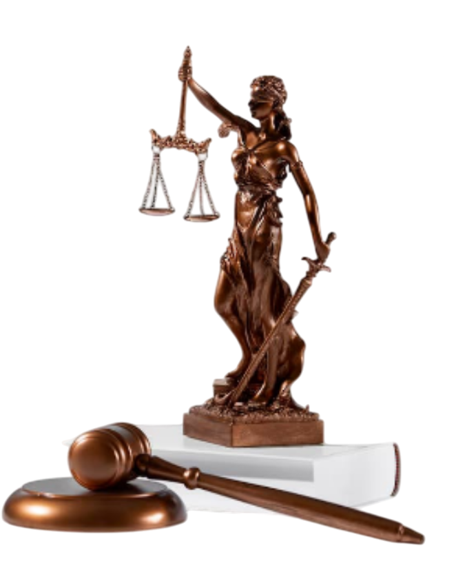 Logo - Adv. Vivek Modi - Advocate in Ahmedabad